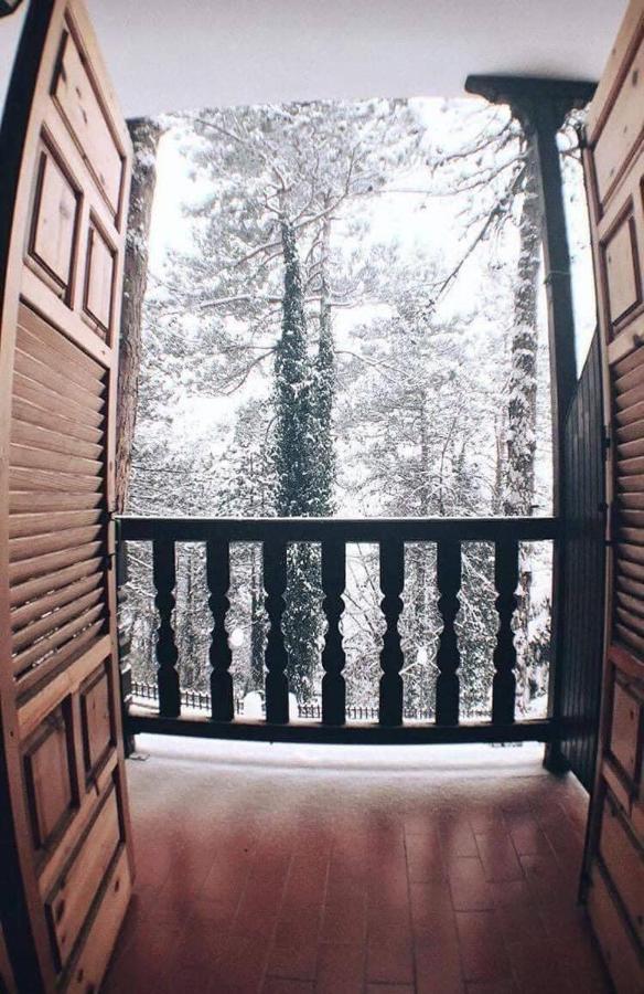 Milionis Forest Hotel Grewena Zewnętrze zdjęcie