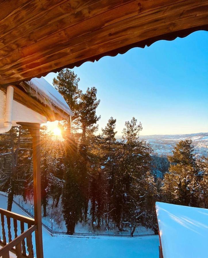 Milionis Forest Hotel Grewena Zewnętrze zdjęcie